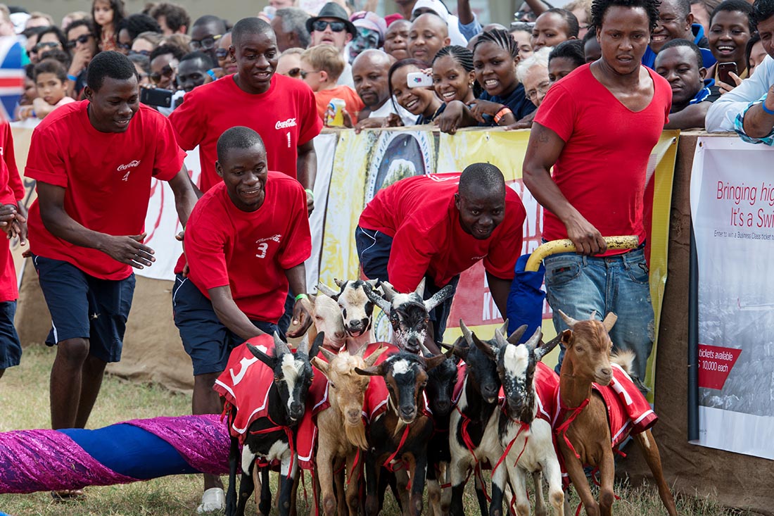 ‘Fantastic run’ for goat races Dar Post